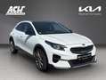Kia XCeed XCEED 1.4T PLATINUM 18Z FULL-LED JBL LEDER PANO Weiß - thumbnail 3