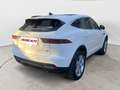 Jaguar E-Pace E-Pace 2021 2.0d i4 mhev SE awd 204cv auto Bianco - thumbnail 3