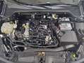 Ford Focus Turnier 1.0 Hybrid Aut. ST-LINE X *AHK*PANO Schwarz - thumbnail 22