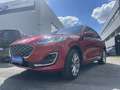 Ford Kuga Ford Kuga Vignale 2.5 PHEV AUT OC0541 19685 Rouge - thumbnail 8