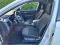 Nissan Qashqai MHEV 140 CV N-Connecta VARI COLORI DISPONIBILI Wit - thumbnail 10