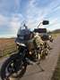 Harley-Davidson Pan America Pan America speciale met koffers zijkant Verde - thumbnail 15