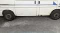 Volkswagen T4 California ähnlich*Aufstelldach* Weiß - thumbnail 20