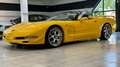 Corvette C5 5.7 Cabrio*Deutsch*19/20 Zoll*Lambo Tür LSD Yellow - thumbnail 3