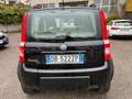 Fiat Panda Panda 1.2 Climbing 4x4 Schwarz - thumbnail 8