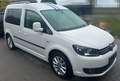 Volkswagen Caddy Caddy TDI 1.6 TDI (5-Si.) Highline Weiß - thumbnail 5