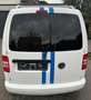 Volkswagen Caddy Caddy TDI 1.6 TDI (5-Si.) Highline Weiß - thumbnail 3