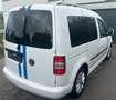 Volkswagen Caddy Caddy TDI 1.6 TDI (5-Si.) Highline Weiß - thumbnail 4