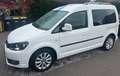 Volkswagen Caddy Caddy TDI 1.6 TDI (5-Si.) Highline Weiß - thumbnail 1