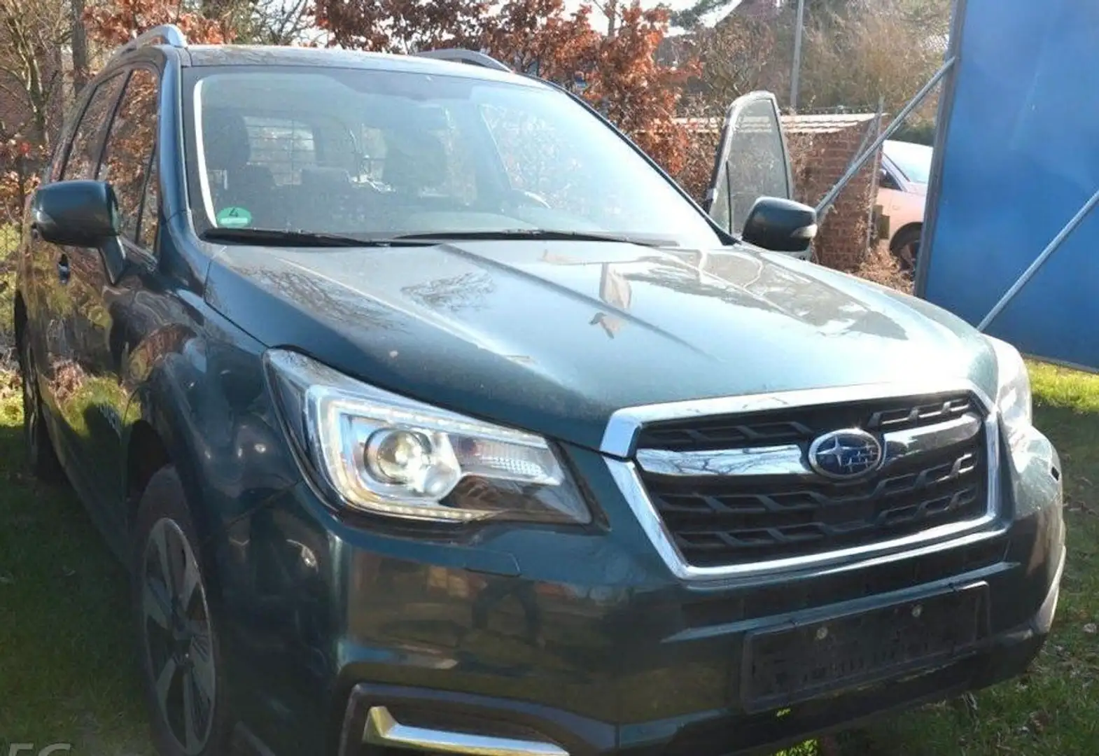 Subaru Forester 2.0D  Exclusive  netto 8777€ Grün - 1