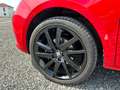 SEAT Ibiza Sondermodell Kamera 105PS SHZ Bremse neu Roşu - thumbnail 17