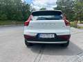 Volvo XC40 T3 Momentum Pro Weiß - thumbnail 4