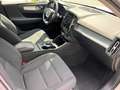 Volvo XC40 T3 Momentum Pro Weiß - thumbnail 9