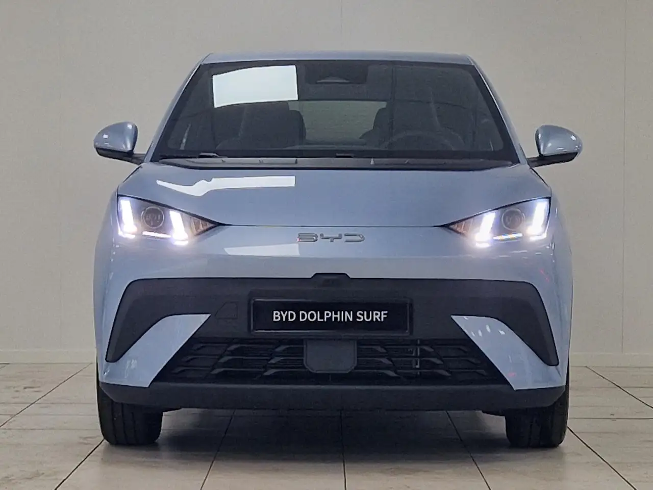 BYD DOLPHIN SURF