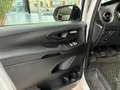 Mercedes-Benz Vito 116 CDI Kasten Lang +KAMERA+DAB+SHZ+PDC Weiß - thumbnail 6