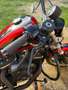Harley-Davidson Sportster 883 Harley Davidson 883r Bobber - thumbnail 10