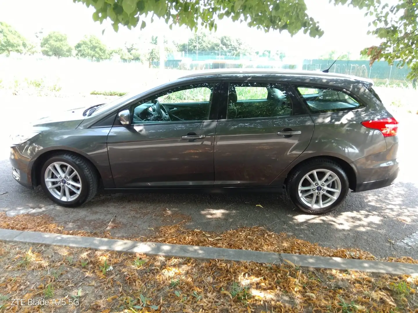 Ford Focus Focus IV 2015 SW 1.5 tdci Business s Grigio - 2