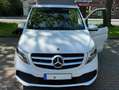 Mercedes-Benz Marco Polo Marco Polo 250 d HORIZON TÜV, Service NEU Weiß - thumbnail 5