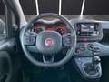 Fiat Panda Panda III My 24 1.0 firefly hybrid City Life s Blu/Azzurro - thumbnail 9