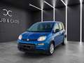 Fiat Panda Panda III My 24 1.0 firefly hybrid City Life s Blu/Azzurro - thumbnail 3