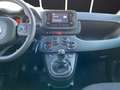 Fiat Panda Panda III My 24 1.0 firefly hybrid City Life s Blau - thumbnail 13