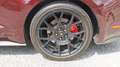 Ford Mustang Fastback VI 2.3 Ti 290 EcoBoost BVA10 - thumbnail 19