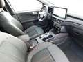 Ford Kuga Plug-In Hybrid ST-Line X  Autom. ACC / 360° Yeşil - thumbnail 13