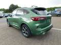 Ford Kuga Plug-In Hybrid ST-Line X  Autom. ACC / 360° Yeşil - thumbnail 7