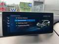 BMW i3 Executive 120Ah 42 kWh/Carplay/W-pomp/Camera/3-fas Rood - thumbnail 30