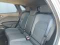 Renault Symbioz Techno Full Hybrid E-Tech 160 (MY25) Blau - thumbnail 11