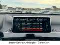 BMW X1 xDrive 25 d M Sport*LED*XENON*Navi*Tempo*SHZ* Blanc - thumbnail 23