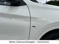 BMW X1 xDrive 25 d M Sport*LED*XENON*Navi*Tempo*SHZ* Blanc - thumbnail 11