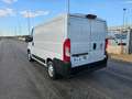Fiat Ducato 28 2.0 MJT 120CV PC FRIGO 0° Bianco - thumbnail 9