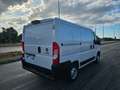Fiat Ducato 28 2.0 MJT 120CV PC FRIGO 0° Bianco - thumbnail 8
