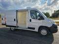 Fiat Ducato 28 2.0 MJT 120CV PC FRIGO 0° Bianco - thumbnail 4