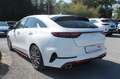 Kia ProCeed / pro_cee'd ProCeed GT, Facelift, Vollausstattung Weiß - thumbnail 4