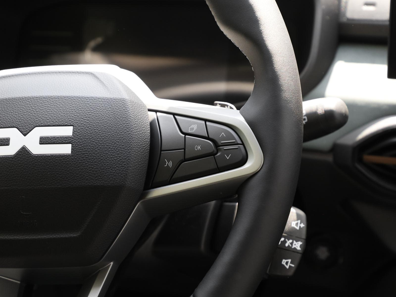 Dacia Jogger Extreme Eco-G 120 auto NAVI SHZ PDC KLIMA — photo 11