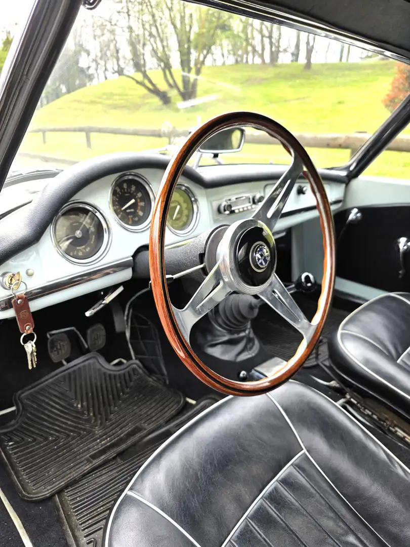 Alfa Romeo Giulia 1600 SPIDER ITALIANA Blu/Azzurro - 2