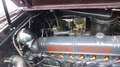 Buick Special Series 40 Rot - thumbnail 16