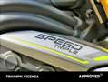 Triumph Speed Triple 1200 RS RS Abs Grigio - thumbnail 9