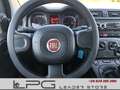Fiat Panda Pequeño Manual de 5 Puertas - thumbnail 9