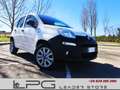 Fiat Panda Pequeño Manual de 5 Puertas - thumbnail 1