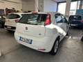Fiat Punto Evo Punto Evo 1.2 5 porte Dynamic Weiß - thumbnail 3