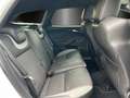 Ford Focus ST 2.0 Ecoboost/SYNC3/RECARO/XENON/SHZ/ Weiß - thumbnail 11