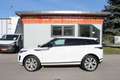 Land Rover Range Rover Evoque P250 SE Aut. Weiß - thumbnail 4
