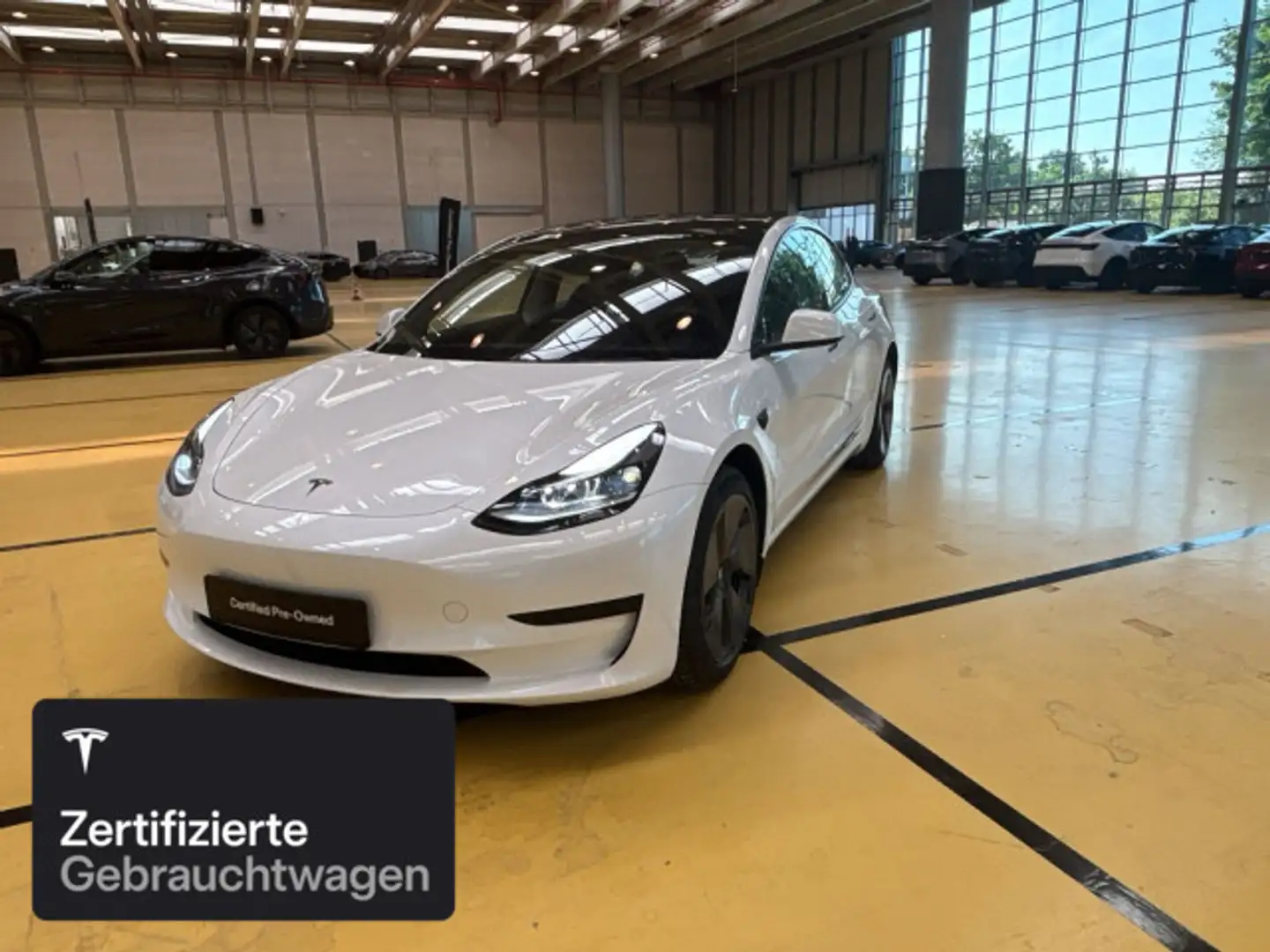 Tesla Model 3 Rear-Wheel Drive Weiß - 1