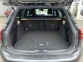 Ford Focus ST-Line X MHEV 125 PS - Kamera Grau - thumbnail 6