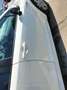 Toyota Corolla 1.8 125H ACTIVE E-CVT - thumbnail 14