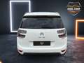 Citroen C4 Cactus BlueHDi 150 Airdream Exclusive Bianco - thumbnail 3