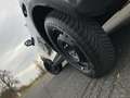 Suzuki Ignis 1.2 Hybrid Comfort CARPLAY / ANDROID AUTO Grau - thumbnail 15